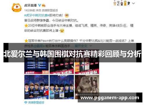 北爱尔兰与韩国围棋对抗赛精彩回顾与分析