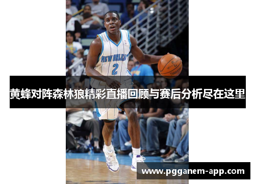 黄蜂对阵森林狼精彩直播回顾与赛后分析尽在这里