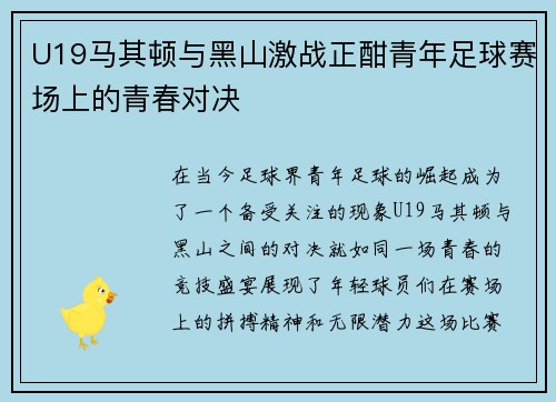 U19马其顿与黑山激战正酣青年足球赛场上的青春对决